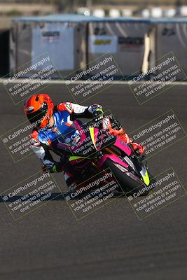 media/Nov-02-2025-Lets Ride (Sun) [[f7a3caa734]]/B Group/220pm (Turn 6)/